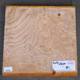 Ash, burl, approx. 345 x 345 x 53mm, 4,1kg