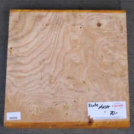 Esche, Maser, ca. 345 x 345 x 53mm, 4,1kg
