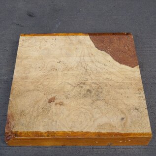 Ash, burl, approx. 345 x 345 x 53mm, 4,1kg