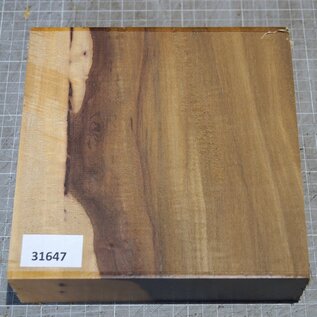 African Birch, approx. 190 x 190 x 52mm, 1,8kg