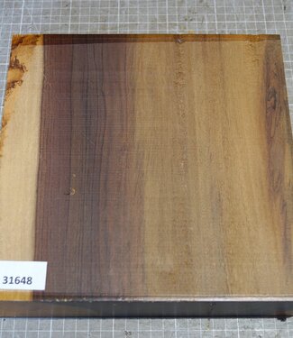 Afrikanische Kernbirke, ca. 240 x 240 x 50mm, 2,8kg