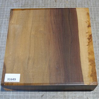 Afrikanische Kernbirke, ca. 240 x 240 x 50mm, 2,8kg