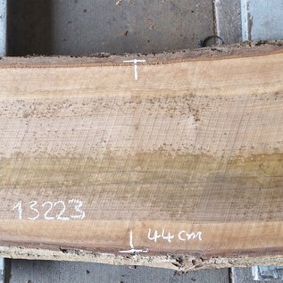 Walnut slab, approx. 1580 x 440/550 x 65mm, 13223, 35kg