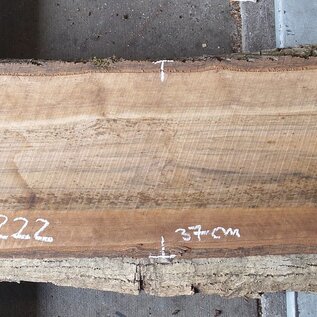 Walnut slab, approx. 1600 x 370/490 x 65mm, 13222, 30kg