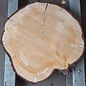 Lebanon Cedar, approx. 830 x 820 x 80mm, 13220, 22kg