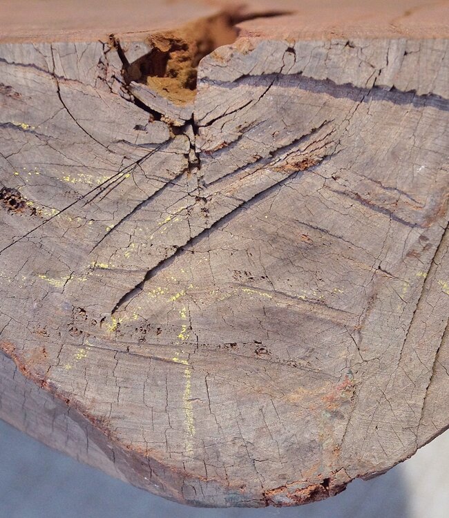 Königsholz, Veilchenholz, ca. 665 x 225 x 110mm, 11,82kg