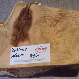 Robinia, European Locust Burl approx. 320 x 220mm, 4,06kg