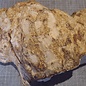 Robinia, European Locust Burl approx. 320 x 220mm, 4,06kg