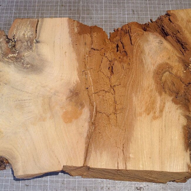 Robinie Maser, ca. 700 x 300 x 50mm, 5,74kg