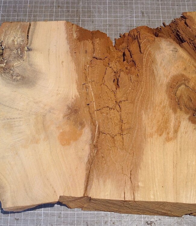 Robinie Maser, ca. 700 x 300 x 50mm, 5,74kg