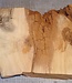 Robinia, European Locust Burl approx. 700 x 300 x 50mm, 5,74kg