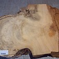 Robinia, European Locust Burl approx. 700 x 300 x 50mm, 5,74kg