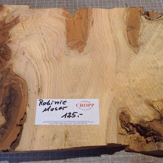 Robinia, European Locust Burl approx. 700 x 300 x 50mm, 5,74kg