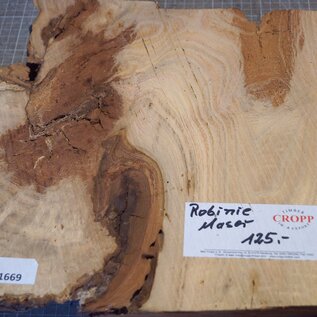 Robinia, European Locust Burl approx. 700 x 300 x 50mm, 5,74kg