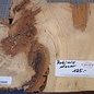 Robinia, European Locust Burl approx. 700 x 300 x 50mm, 5,74kg