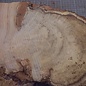 Robinia, European Locust Burl approx. 700 x 300 x 50mm, 5,74kg