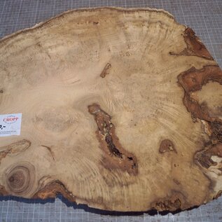 Robinia, European Locust Burl approx. 580 x 485 x 45mm, 7,38kg