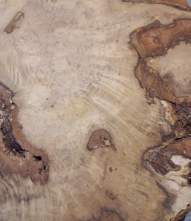 Robinia, European Locust Burl approx. 580 x 485 x 45mm, 7,38kg