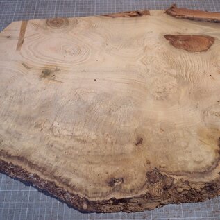 Robinia, European Locust Burl approx. 580 x 485 x 45mm, 7,38kg