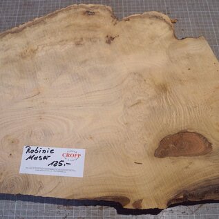 Robinia, European Locust Burl approx. 550 x 410 x 45mm, 5,7kg