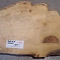 Robinia, European Locust Burl approx. 550 x 410 x 45mm, 5,7kg