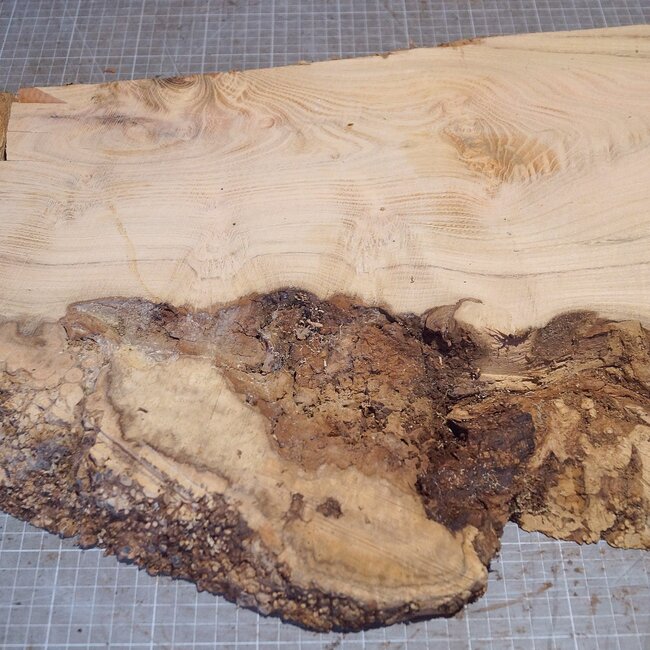 Robinie Maser, ca. 550 x 410 x 45mm, 5,7kg