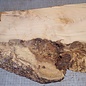 Robinia, European Locust Burl approx. 550 x 410 x 45mm, 5,7kg