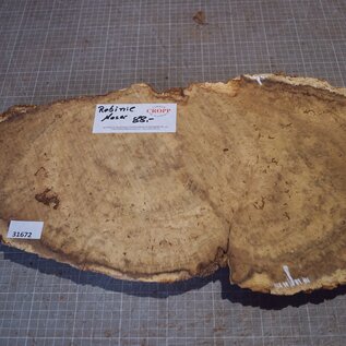 Robinia, European Locust Burl approx. 530 x 290 x 45mm, 3,6kg