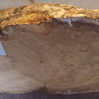 Robinia, European Locust Burl approx. 530 x 290 x 45mm, 3,6kg