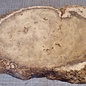 Robinia, European Locust Burl approx. 530 x 290 x 45mm, 3,6kg