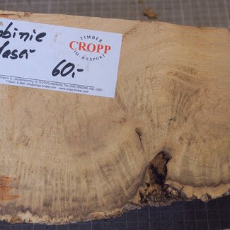 Robinia, European Locust Burl approx. 260 x 160 x 90mm, 2,94kg