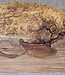 Robinia, European Locust Burl approx. 260 x 160 x 90mm, 2,94kg