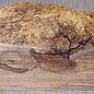 Robinia, European Locust Burl approx. 260 x 160 x 90mm, 2,94kg