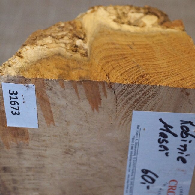 Robinia, European Locust Burl approx. 260 x 160 x 90mm, 2,94kg