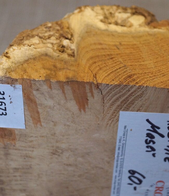 Robinia, European Locust Burl approx. 260 x 160 x 90mm, 2,94kg