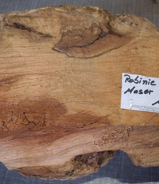 Robinia, European Locust Burl approx. 300 x 160mm, 7kg