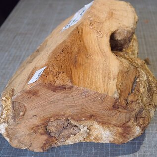 Robinia, European Locust Burl approx. 300 x 160mm, 7kg