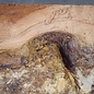 Robinia, European Locust Burl approx. 300 x 160mm, 7kg