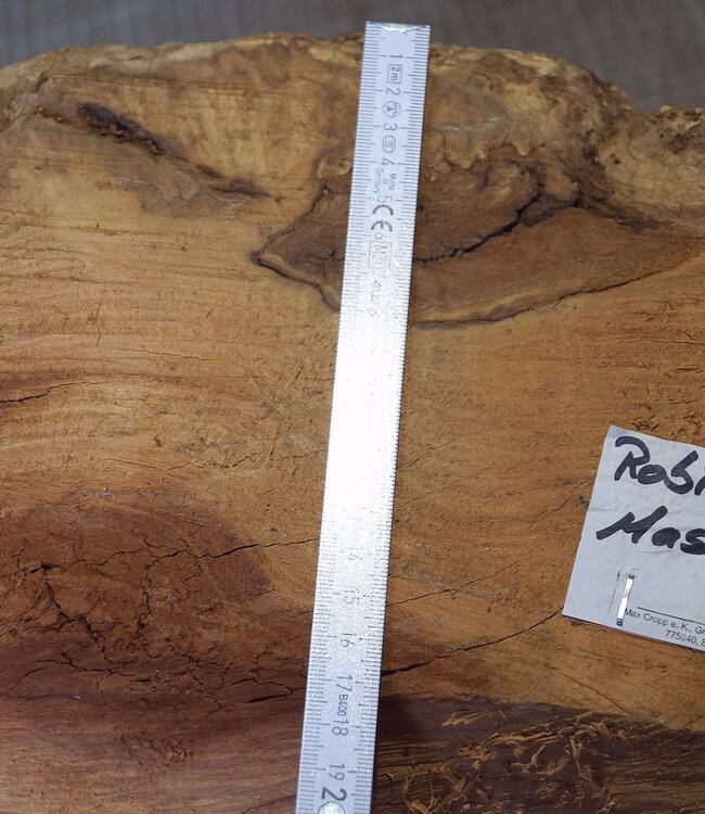Robinie Maser, ca. 300 x 160mm, 7kg