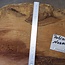 Robinia, European Locust Burl approx. 300 x 160mm, 7kg