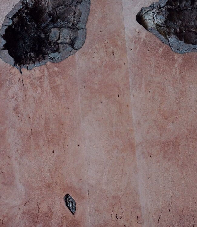 Platane, gedämpft, ca. 1000 x 680 x 40 mm, 13244