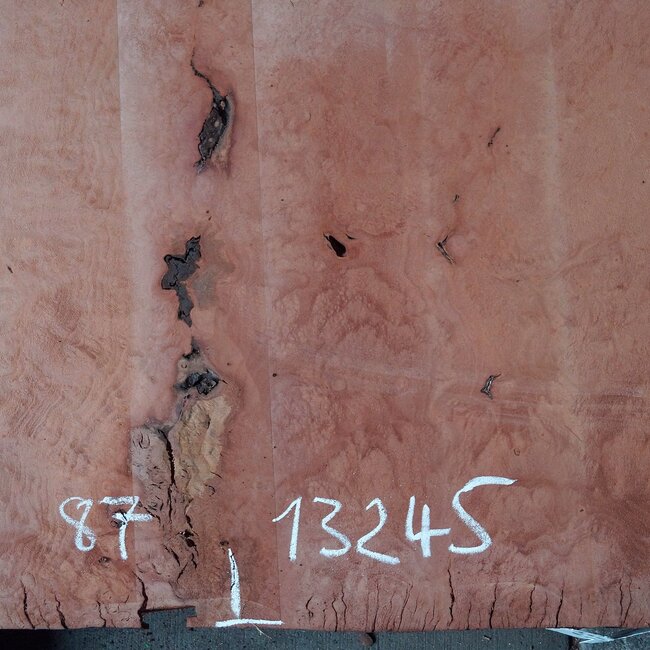 Platane, gedämpft, ca. 870 x 860/590 x 55 mm, 13245