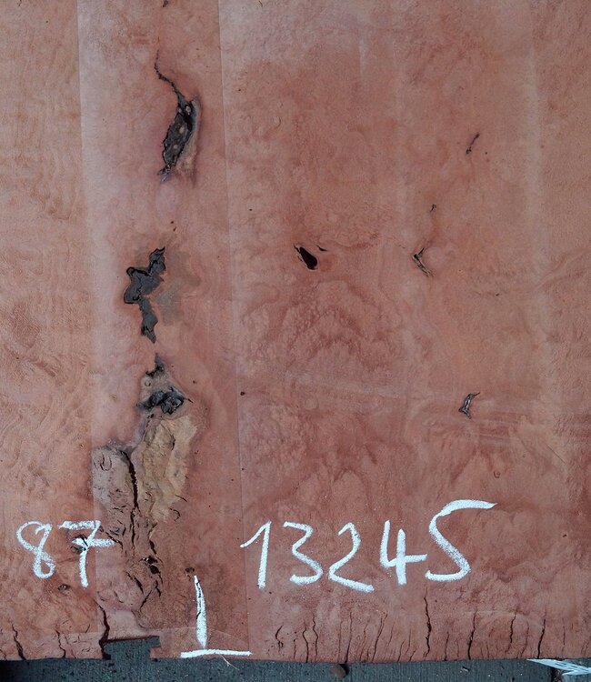 Platane, gedämpft, ca. 870 x 860/590 x 55 mm, 13245