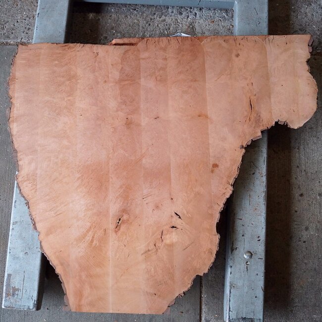 Plane, steamed, approx. 870 x 860/590 x 55 mm, 13245