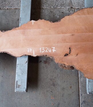 Plane, steamed, approx. 1900 x 1020/370 x 52 mm, 13247