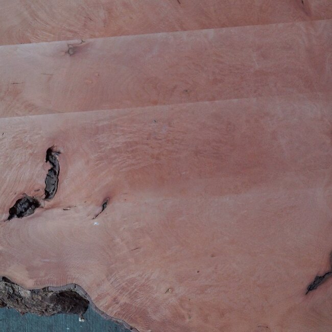 Platane, gedämpft, ca. 1900 x 1020/370 x 52 mm, 13247