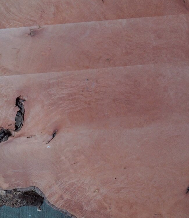 Platane, gedämpft, ca. 1900 x 1020/370 x 52 mm, 13247