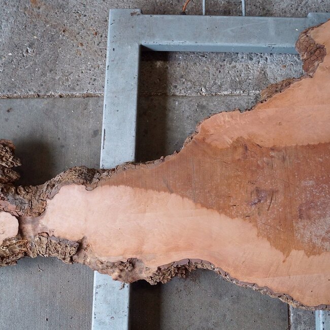 Platane, gedämpft, ca. 1900 x 1020/370 x 52 mm, 13247