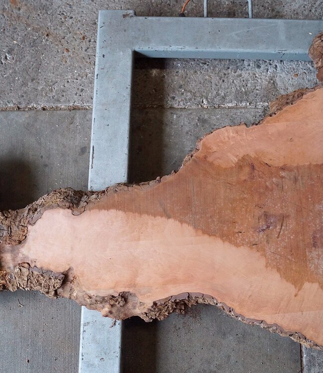 Platane, gedämpft, ca. 1900 x 1020/370 x 52 mm, 13247