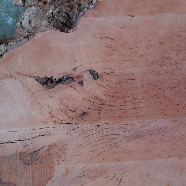 Plane, steamed, approx. 1950 x 1010/300 x 52 mm, 13248